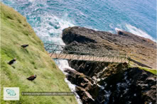 Le Mykines Lighthouse Trail sur l'Île de Mykines