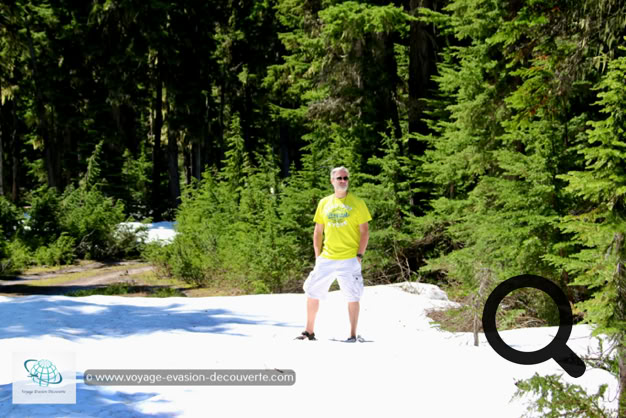 La promenade des Prés-dans-le-Ciel, est une route sinueuse qui décrit une ascension de 26 kilomètres depuis la ville de Revelstoke et s’élevant de 1 500 m garantissant de beaux panoramas sur la vallée.