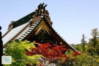 Portail du Sanctuaire d'Itsukushima au Japon