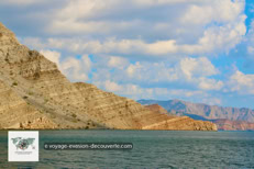 Les fjords de Musandam à Oman