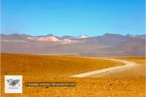 La Réserve Nationale de Faune Andine Eduardo Avaroa en Bolivie