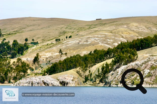 D’une superficie de 14,3 km². C'est la plus grande île du lac et la plus peuplée. Son nom originel était Isla Titikaka, et c'est elle qui a donné son nom au lac. Elle possède un relief accidenté avec beaucoup de terrasses aménagées pour l'agriculture par les anciens peuples amérindiens.