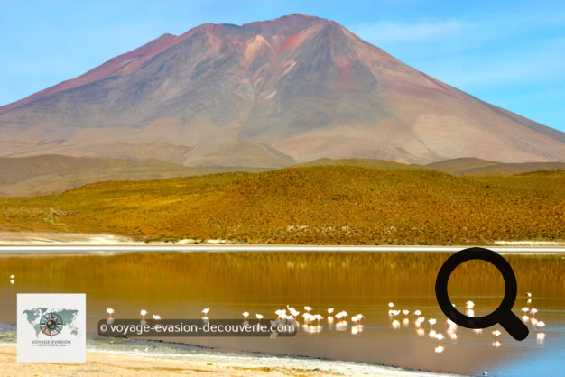 Malgré son nom peu engageant, hedionda signifiant “malodorante“ en espagnol, ce lac salé est d’une beauté  sauvage et envoûtante. Entouré de montagnes aux flancs nus, il offre l'image parfaite de l'isolement absolu, comme un mirage au milieu de nulle part.