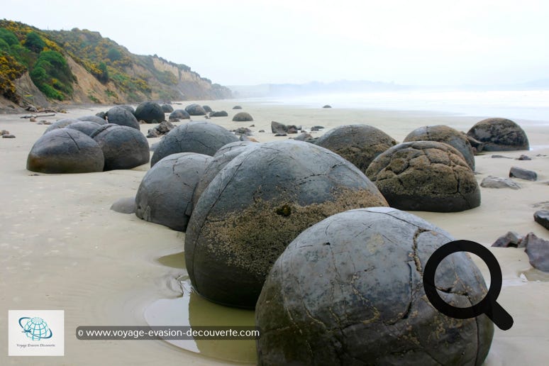 Ce sont des rochers sphériques exceptionnellement grands situés le long d'un tronçon de la Koekohe Beach dans la baie d'Otago, entre Moeraki et Hampden.