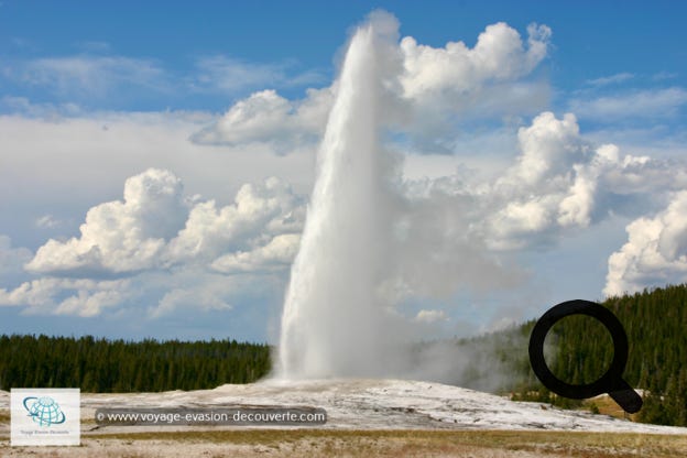 Ce geyser produit l'un des plus grands jets d'eau chaude et de vapeur au monde, avec le Strokkur islandais.  Comment il fonctionne ? Le Old faithful est un geyser de type dit “ en cône “. Sa taille est relativement petite, mais il possède un étroit conduit qui le relie à une nappe phréatique bouillonnante, en contact avec une chambre magmatique géante, le fameux supervolcan du Yellowstone.