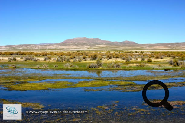 Direction, le Sud Lípez sur une belle route de sable traversant de superbes paysages jusqu’à la vallée des roches en plein dessert de Siloli. 