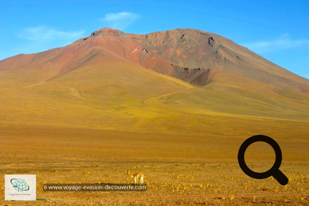 Après le petit déjeuner, nous reprenons la route en direction du Salar alors que défilent sous nos yeux les époustouflants paysages du Sud Lípez. Nous ne nous lassons pas du spectacle que l’on nous offre.  