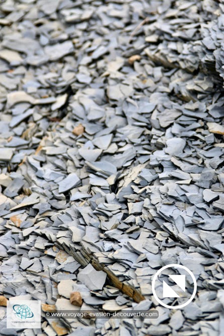 Lors de notre randonnée sur l’île nous marchions sur un tapis de roches éclatées en milliard de petites plaques qui crépitaient sous nos pieds.  Les conditions sont tellement extrêmes qu’avec les différences de températures en été et en hiver, les roches même les plus dures ne résistent pas à l’effet de la cryoclastie. 