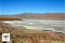 La Réserve Nationale de Faune Andine Eduardo Avaroa en Bolivie