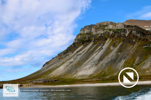 La baie est recouverte en partie par de grands espaces de toundra avec une végétation riche qui attirent de grands troupeaux de rennes du Svalbard. Ces espaces recouverts d'une végétation d'un vert éclatant contraste avec les plages de galets et les montagnes dénudées qui les entoures.