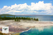 West Thumb Basin à Yellowstone National Park dans le Wyoming