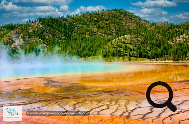 Ce secteur est connu pour avoir quelques une des plus grandes et belles piscines colorées naturelles du parc dont la plus connue : Grand Prismatic Spring.  
