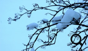 Le Parc National de Pallas Yllästunturi en Laponie
