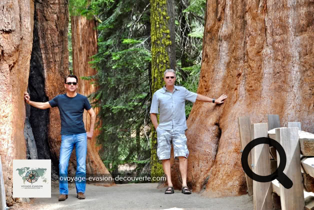 Que faire aux USA ? Californie Blog voyage Evasion Découverte
