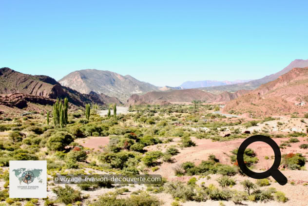 Bloc - Carnet de voyage - Bolivie