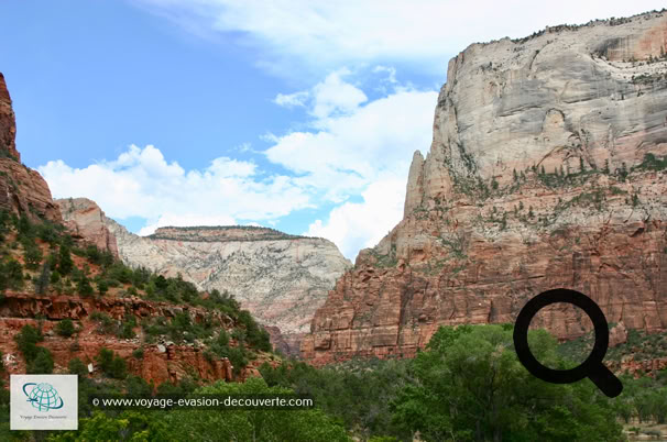 Il offre un superbe concentré de paysages typiques de l’Ouest américain. Des falaises, des canyons profonds, des  formations étonnantes, des cascades baignant dans une roche aux couleurs exceptionnelles. 