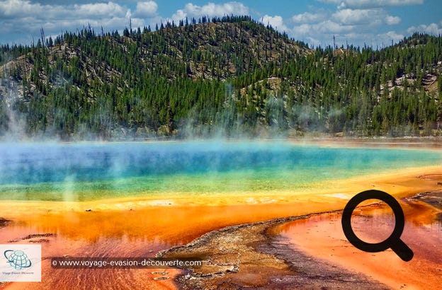 Ce secteur est connu pour avoir quelques une des plus grandes et belles piscines colorées naturelles du parc dont la plus connue : Grand Prismatic Spring.  