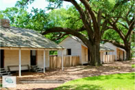 Oak Alley Plantation à la Nouvelle-Orléans