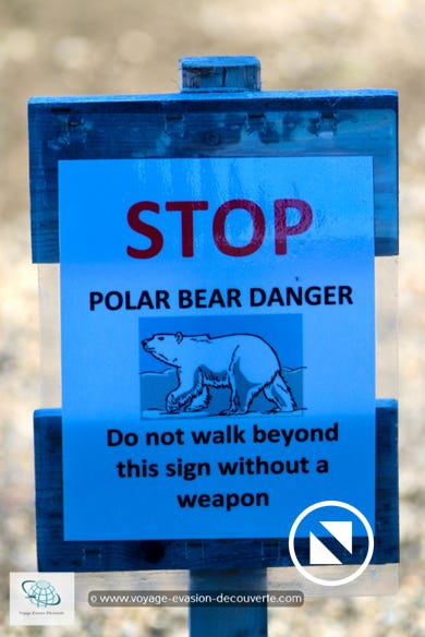 En faisant un petite balade autour de la localité de Ny-Ålesund, nous trouvons toujours les mêmes panneaux de signalétique pour nous annoncer le risque de croiser des ours polaires. 