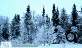 Le Parc National de Pallas Yllästunturi en Laponie