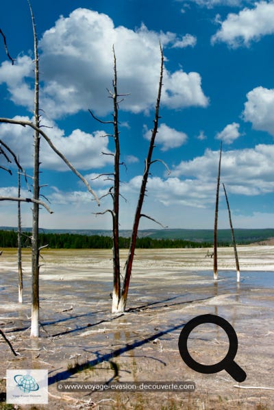 C’est une quatrième section où l’on peut découvrir des piscines et des geysers actifs.