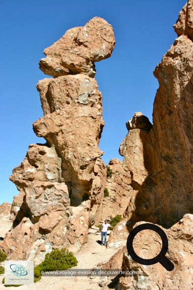 Au cœur du désert de Siloli, la vallée des roches vous offre une collection unique de créations géomorphologiques naturelles. 