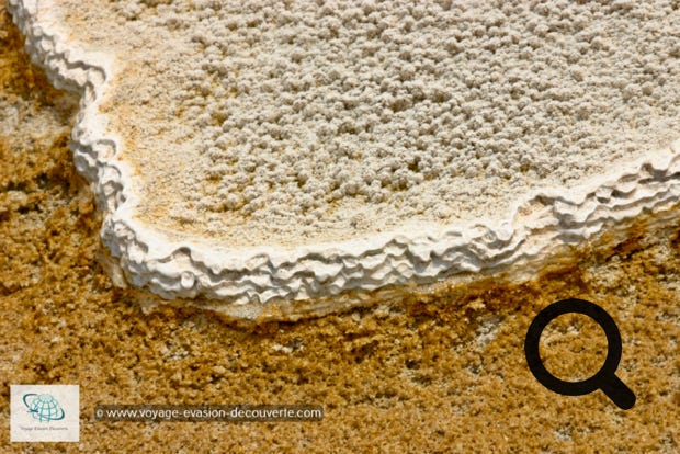 Cette série de bassins naturels de calcaire en escalier, allant du blanc crémeux au rouille en passant par le beige, est vraiment étonnante. On a l’impression d’un artiste a sculpté ce flanc de montagne pour composer cette extraordinaire série de bassins.
