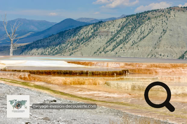 Ce site gigantesque est en fait une grande formation de travertin, formé pendant plusieurs milliers d'années par les eaux chaudes du Yellowstone, ayant coulé et ayant déposé du carbonate de calcium. Plus de deux tonnes d'eau chaudes coulent des Mammoth Hot Springs chaque jour.