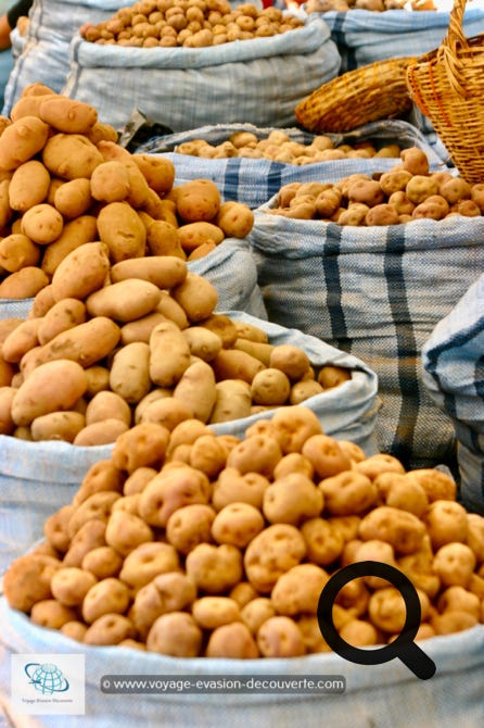 Le grand marché Central de Sucre est un marché couvert très animé sur trois niveaux. Populaire et familial vous y trouverez tout ce dont vous avez besoin.