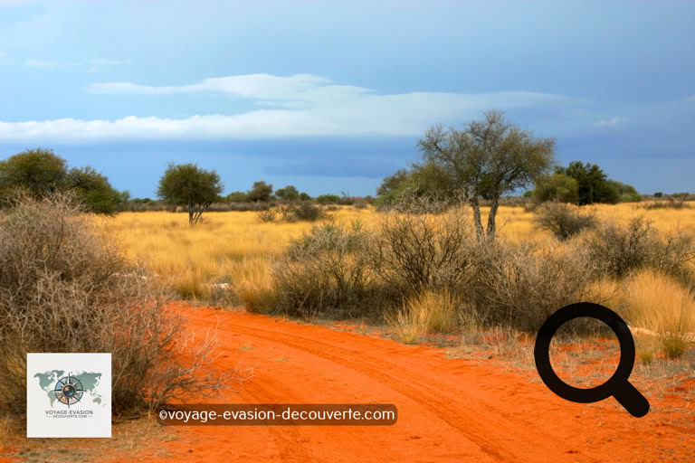 Road trip en Namibie