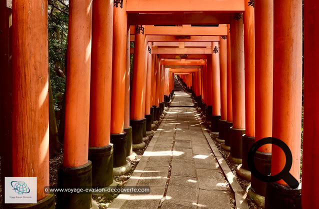 C’est le sanctuaire principal de la déesse Kami Inari et il est surtout connu pour ses milliers de toriis vermillon formant un chemin sur la colline sur laquelle le temple est construit.