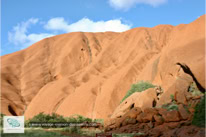 Uluru National Park dans l'état du Territoire du Nord en Australie