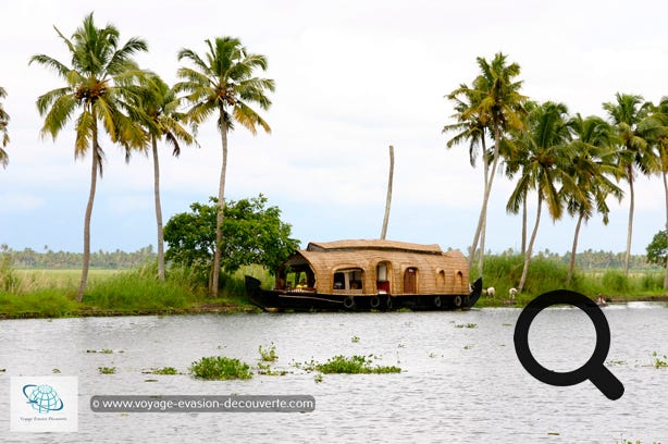 Nommée jusqu’en 1990 Alleppey, c’est la capitale incontestée de la croisière fluviale. Elle se trouve entre la mer des Laquedives et le lac Vembanad, et est adossée à un réseau de canaux de centaines de kilomètres, en plein cœur du Kerala.  Locaux et touristes accourent pour passer une nuit à bord d’anciennes barges à riz réaménagées en navires de luxe et s’émouvoir de la beauté des paysages. C’est un point de départ pour faire une petite croisière sur les backwaters, une série de lagunes et de lacs d'eau saumâtre parallèle à la mer d'Arabie, paysage typique de l'État du Kerala au sud de l'Inde.