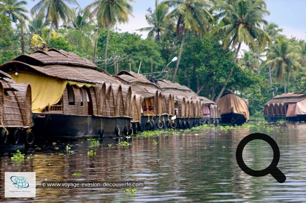 Le lendemain, en fin de matinée, on prend la direction de notre ketuvallam, notre maison flottante pour une croisière dans les backwaters. Ce bateau peut avoir jusqu'à 30 m de long et transporter une charge allant jusqu'à 30 tonnes. Le transport de matériel et de personnes se fait principalement par bateaux, dont les tailles et formes ont varié avec les époques. Les maisons flottantes étaient à l'époque utilisés pour transporter le riz et des épices entre la région du Kuttanad et le port de Cochin. Ce transport demandait généralement trois jours.