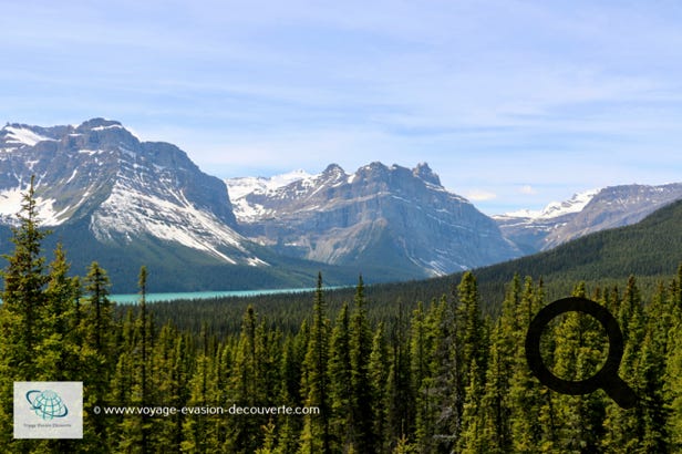 Le parc national de Jasper est le plus grand des parcs nationaux canadiens, des Rocheuses canadiennes.  Il couvre 10 878 km². Il abrite les grands glaciers du champ de glace Columbia, des sources chaudes, des lacs  et des chutes d'eau.