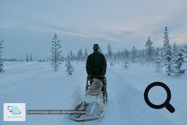 Avant de partir dans la foret avec notre équipage. Le chef de groupe nous a parlé un peu de ses chiens et de leur fonctionnement. 