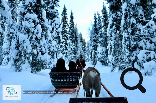 C'est un mode de transport ancestral en usage chez la population locale Saami. Le renne est une icône de la Laponie finlandaise. Le nombre de rennes dans la province du Nord équivaut à peu près à celui des habitants. Dans le nord de la Laponie, l’élevage de rennes est encore une source importante de revenus pour la grande majorité de la population autochtone.