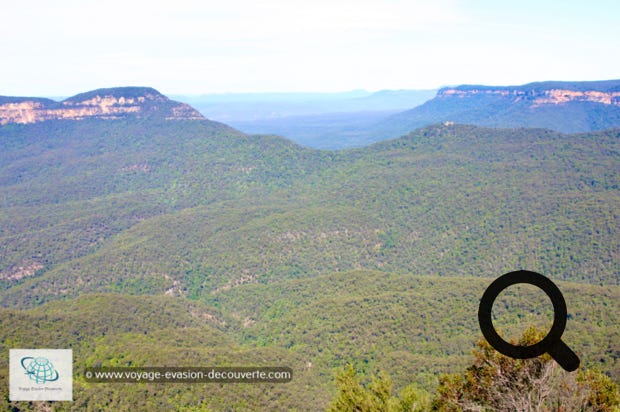 À environ 100 kilomètres à l’Ouest de Sydney, c’est une chaîne de montagnes de grès qui atteignent 1 112 mètres d'altitude à leur point culminant, One Tree Hill, et forment une partie de la Cordillère australienne qui longe approximativement l’Est et le Sud-Est de la côte australienne sur environ 3 000 kilomètres.