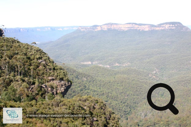À environ 100 kilomètres à l’Ouest de Sydney, c’est une chaîne de montagnes de grès qui atteignent 1 112 mètres d'altitude à leur point culminant, One Tree Hill, et forment une partie de la Cordillère australienne qui longe approximativement l’Est et le Sud-Est de la côte australienne sur environ 3 000 kilomètres.