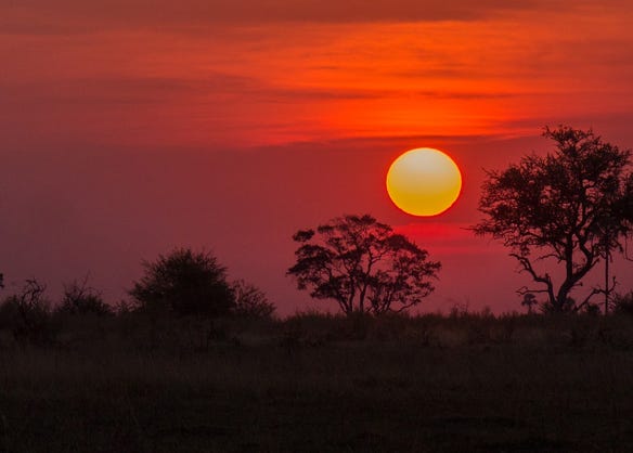 C'est l'un des rares pays d’Afrique à avoir préserver son incroyable héritage naturel et à rendre votre voyage unique et surtout extraordinaire.  Imaginez-vous... explorer des réserves naturelles, entre desert, savane et fleuve majestueux la rencontre avec les animaux sauvages lors d'un extraordinaire safari photos, partager avec les habitants leurs coutumes et traditions ancestrales, et tout ça,  ponctués de haltes dans des lodges somptueux. 