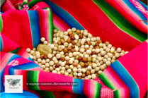 Voyage Évasion Découverte - Blog - Carnet de voyage Bolivie