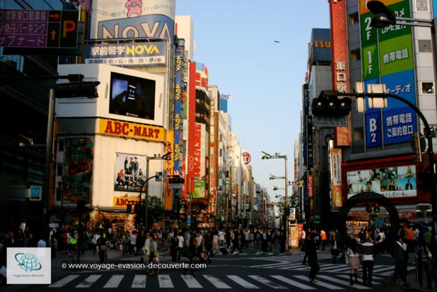 C’est sans doute le quartier le plus fascinant et le plus bouillonnant de Tōkyō. Quartier branché par excellence, emblème du shopping à la tokyoïte, éminent centre économique, Shibuya est une véritable icône de la capitale japonaise et un incontournable du Japon. C’est aussi le célèbre “Crossing“ passage piéton envahi par la foule, vu sur toutes les photos représentant Tokyo. C’est des magasins de mode par centaine, des enseignes lumineuses et écrans géants qui clignotent sans cesse, une folle ambiance jeune et délurée et de la musique partout dans les rues. Il faut y aller la journée pour s’imbiber de la frénésie de la ville et le soir pour s’imprégner de la vie nocturne enivrante. 