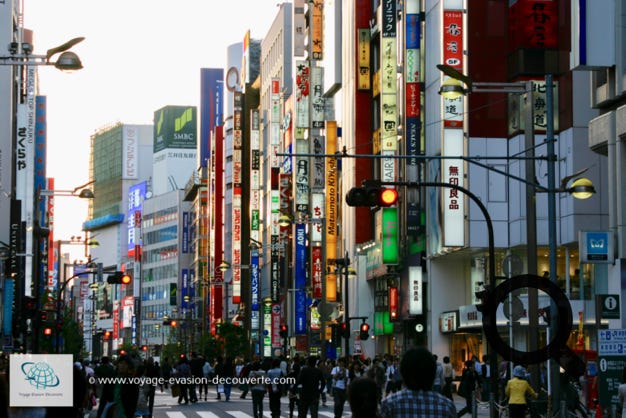 C’est sans doute le quartier le plus fascinant et le plus bouillonnant de Tōkyō. Quartier branché par excellence, emblème du shopping à la tokyoïte, éminent centre économique, Shibuya est une véritable icône de la capitale japonaise et un incontournable du Japon. C’est aussi le célèbre “Crossing“ passage piéton envahi par la foule, vu sur toutes les photos représentant Tokyo. C’est des magasins de mode par centaine, des enseignes lumineuses et écrans géants qui clignotent sans cesse, une folle ambiance jeune et délurée et de la musique partout dans les rues. Il faut y aller la journée pour s’imbiber de la frénésie de la ville et le soir pour s’imprégner de la vie nocturne enivrante. 