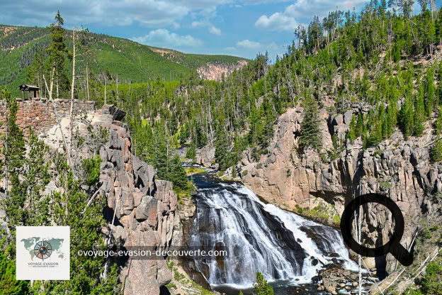 Nous sommes remontés en direction du Nord vers Mammoth Hot Spring. Sur cette route, aux paysages superbes et différents, nous avons croisé nos premiers bisons des plaines, pas du tout farouches, qui vivent en toute liberté dans le parc.