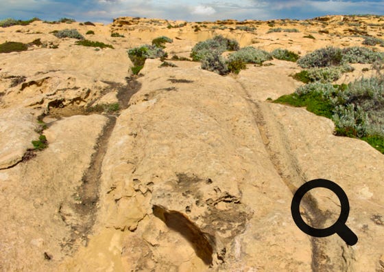 On peut également voir trois dolmens et les fameuses Cart Ruts, ornières de charrette ;  une série d'ornières parallèles qui auraient été créées par les énormes rochers traînés par les hommes du néolithique, ce n'est cependant qu'une théorie, car personne ne sait vraiment ce qu'étaient exactement les soi-disant ornières de charrette et aucun  archéologue au monde n’a réussi à trouver une réponse définitive.