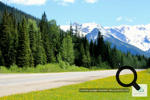 Nous avons repris, en fin d’après-midi, la Transcanadienne en direction de la ville de Golden à 148 km de Revelstoke. Nous sommes passés par le magnifique col Rogers qui se trouve à 1 330 m d’altitude. Tout simplement magnifique…