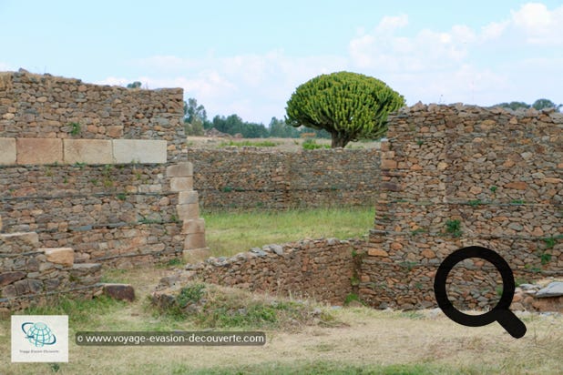 Ce site archéologique se trouve au Sud-Ouest de la ville d'Axum. Ce sont des vestiges du palais du roi Caleb qui datent du VIe siècle. Le site offre une multitude de petites salles qui entourent la partie principale composée de sept pièces et d'un escalier monumental.