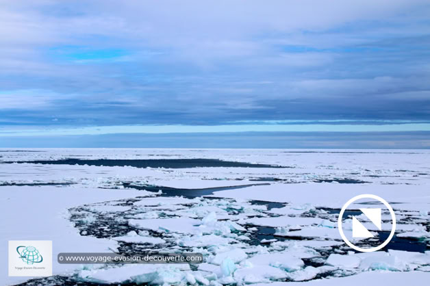Progressivement le bateau ralentissait. Nous avancions prudemment dans cette mer couverte de plaques de glace de plus en plus grandes et de plus en plus denses. Maintenant, le navire pousse, se hisse et éclate, par à-coups, presque continuellement  ces floes de banquise. On sent que le brise-glace commence, par moment, à avoir du mal à avancer. L’élan du navire est brisé, il s’arrête presque devant cette masse avant de repartir comme si de rien n’était. Les deux moteurs du bateau vrombissent et les énormes plaques cèdent sous son poids en s’engloutissant en partie sous la coque.  Un vrai combat de titan !