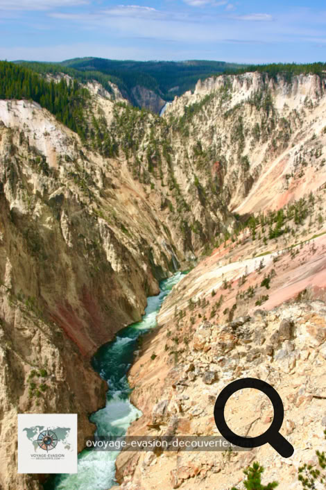 Le Grand Canyon de Yellowstone est le premier grand canyon sur la rivière Yellowstone en aval de Yellowstone Falls dans le parc national de Yellowstone au Wyoming. Le canyon mesure environ 39 km de long, entre 240 et 370 mètres de profondeur et de 400 mètres jusqu'à 1 200 mètres de large.