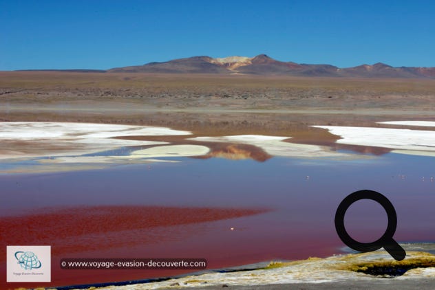 C'est un lac salé de type alto-andine en Bolivie, qui contient des îles de borax dans les secteurs Nord-Est et Sud-Est. Situé à une altitude de 4 278 m, il possède une superficie de 60 km² et une profondeur moyenne de 35 centimètres.